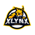 xlynx-oficial-e1566892142988.png